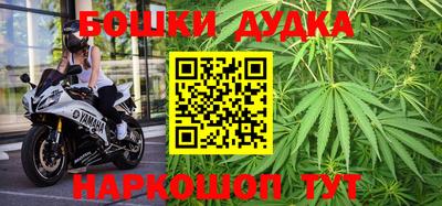 прущие грибы Усть-Джегута